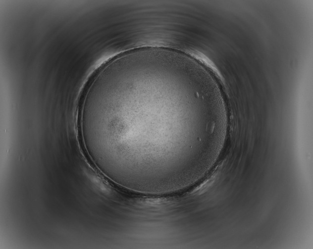 X0000086981035200704161444