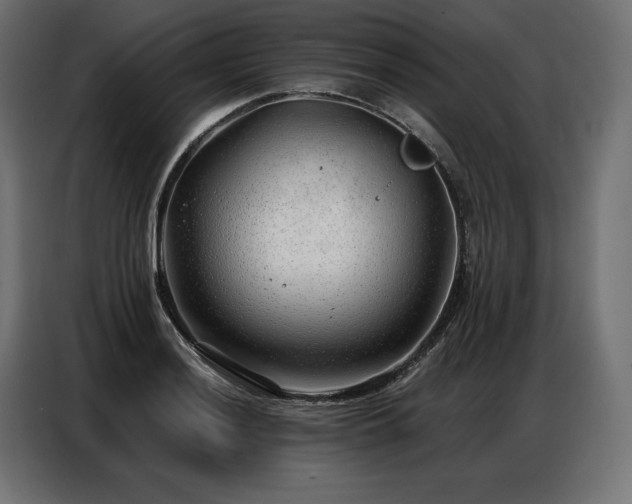 X0000086981036200704161444