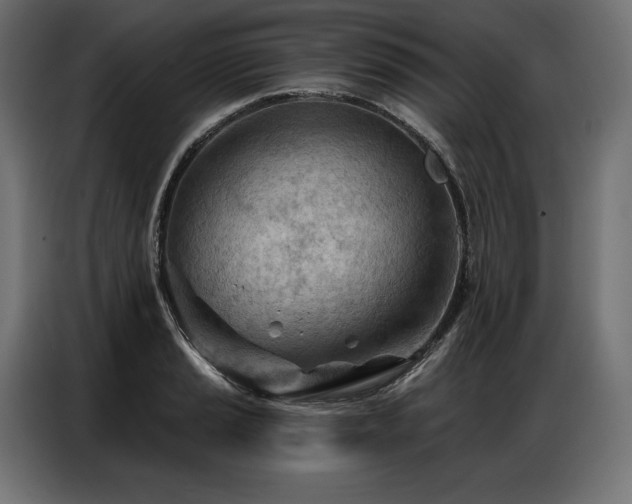 X0000086981037200704161444