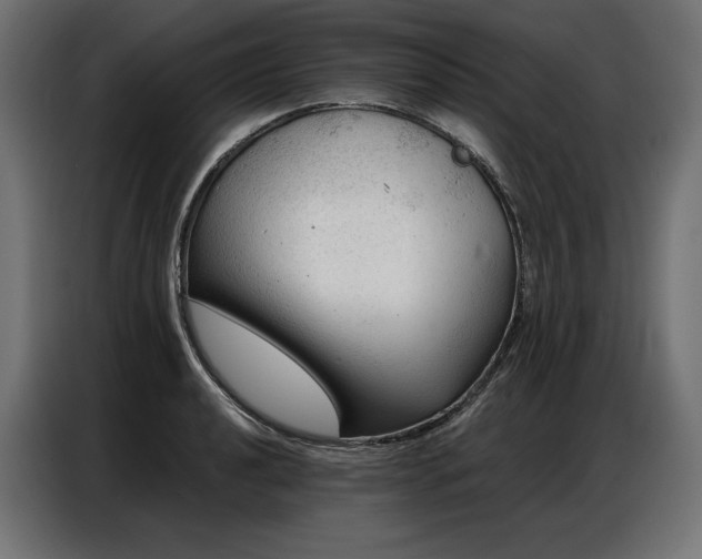 X0000086981040200704161444