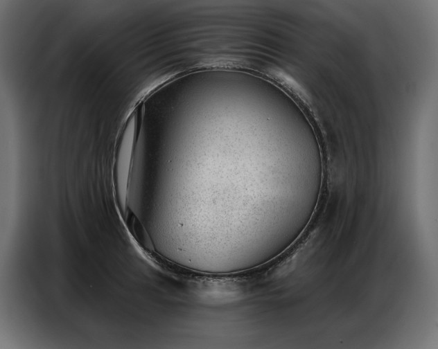 X0000086981041200704161444