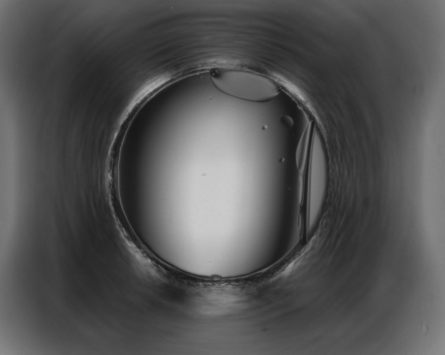 X0000086981042200704161444