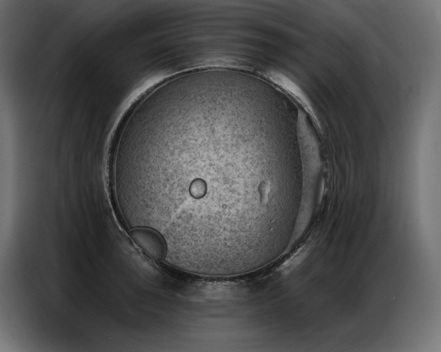 X0000086981043200704161445
