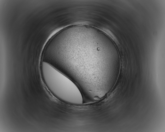 X0000086981044200704161445