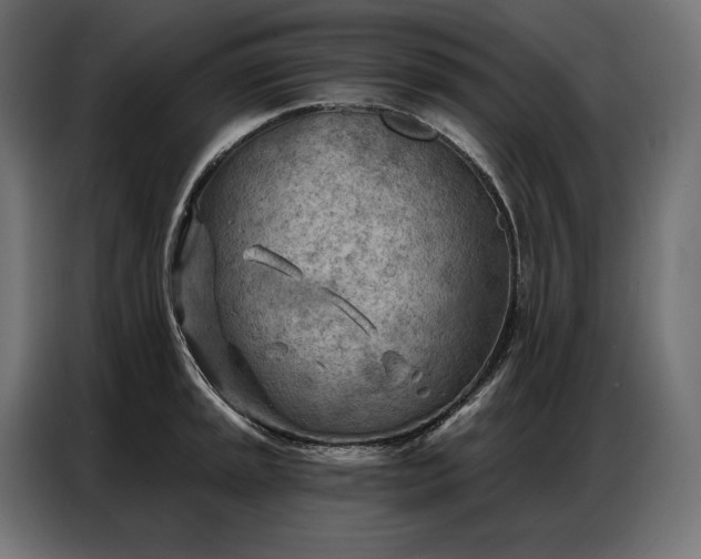 X0000086981045200704161445