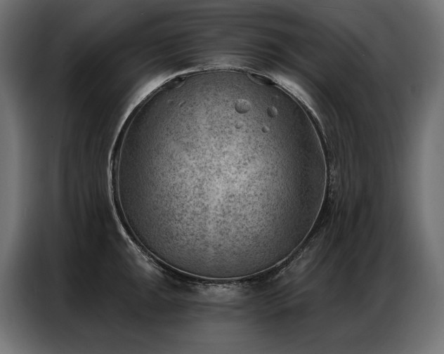 X0000086981047200704161445