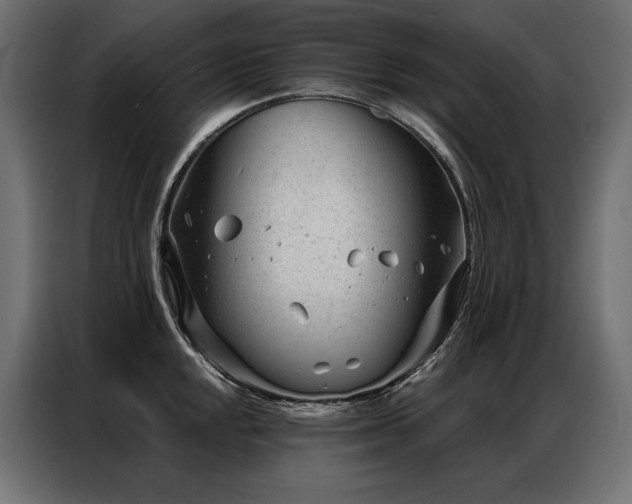 X0000086981048200704161445