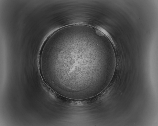 X0000086981051200704161445