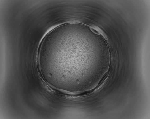 X0000086981052200704161445