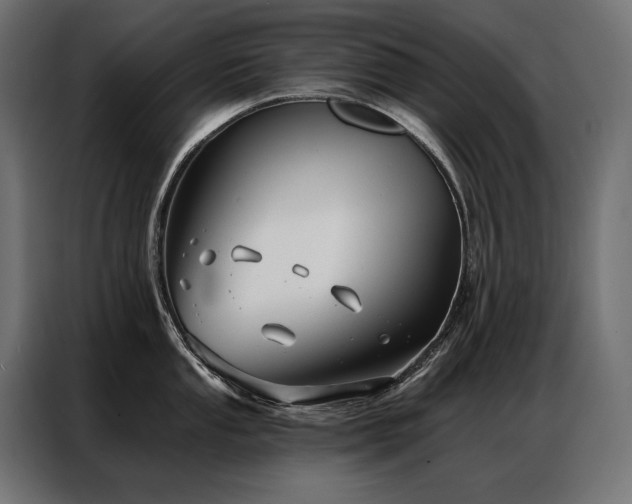 X0000086981053200704161445