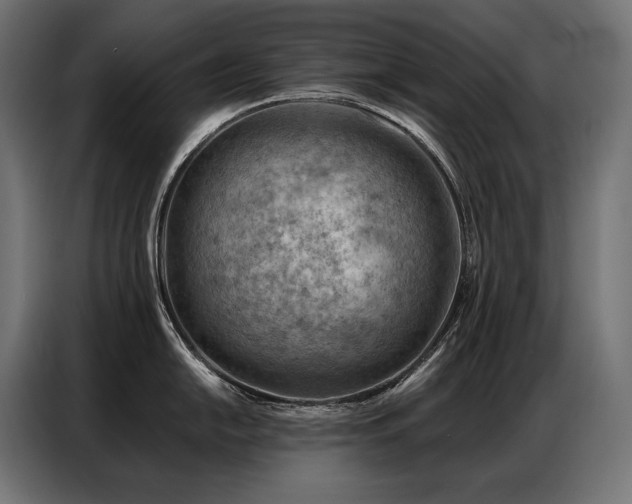 X0000086981054200704161445