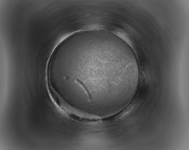 X0000086981055200704161445