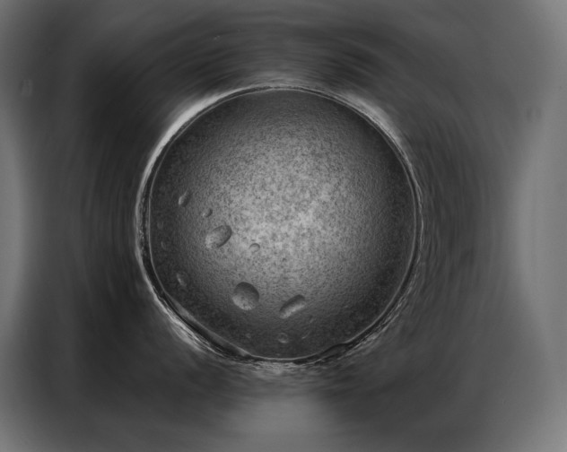 X0000086981056200704161445
