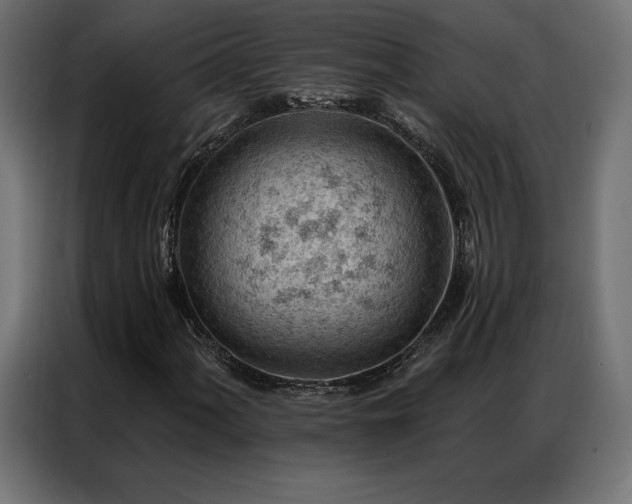 X0000086981060200704161444