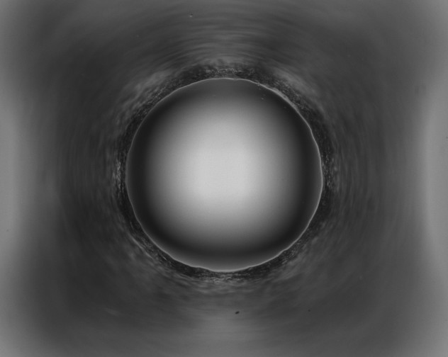 X0000086981061200704161444