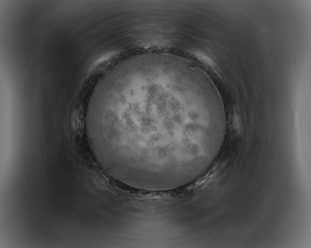 X0000086981063200704161444