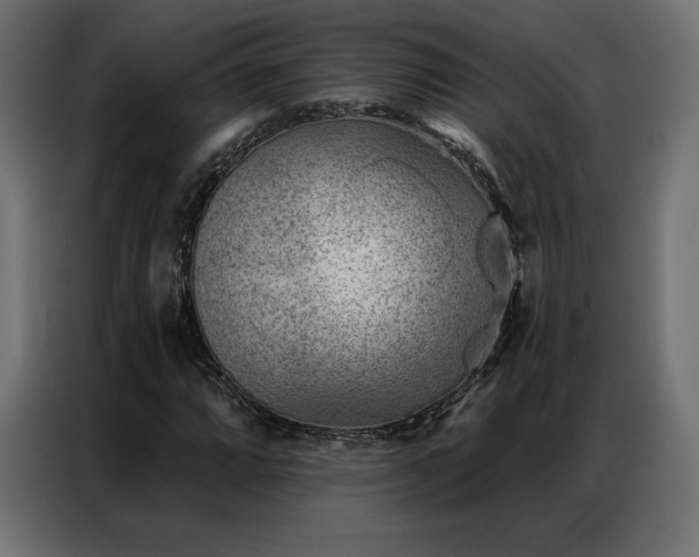 X0000086981064200704161444