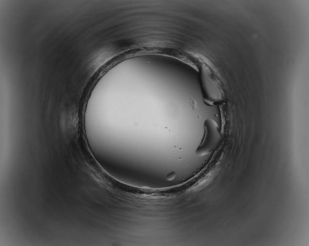 X0000086981065200704161444