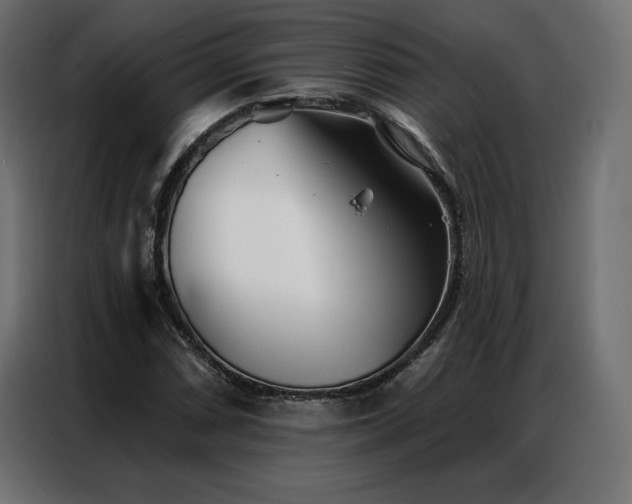 X0000086981066200704161444
