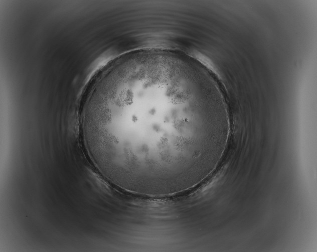 X0000086981067200704161444