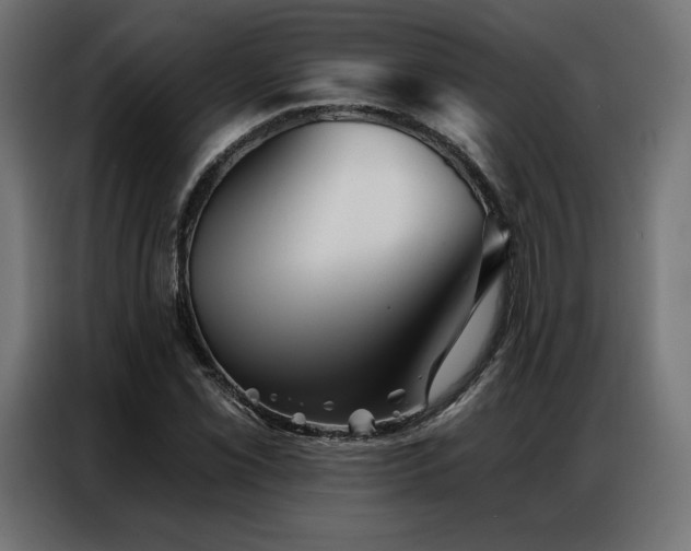 X0000086981069200704161444