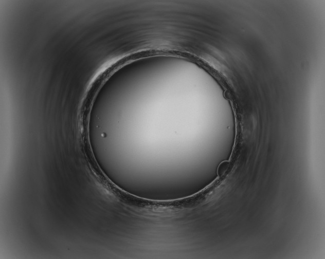 X0000086981070200704161444