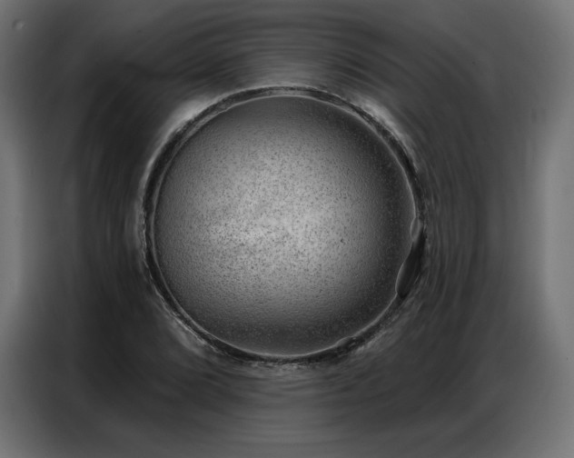X0000086981072200704161444