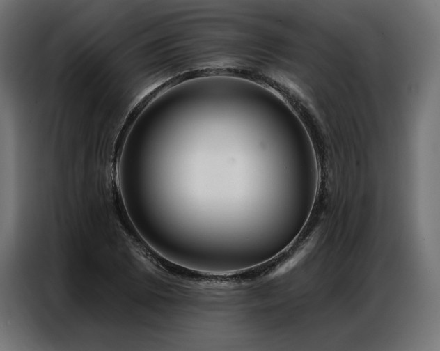 X0000086981073200704161444