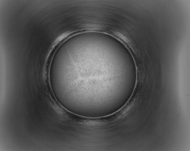 X0000086981074200704161444