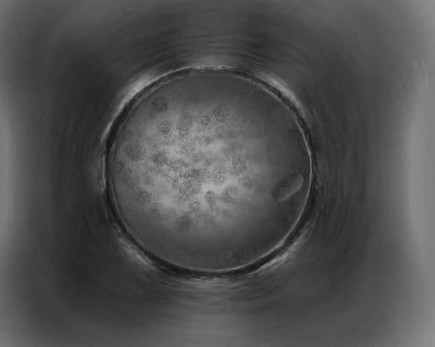 X0000086981075200704161444