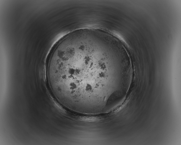 X0000086981079200704161444