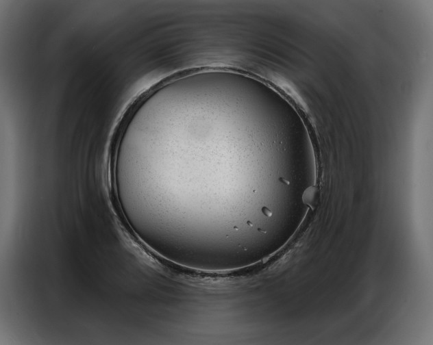 X0000086981080200704161444