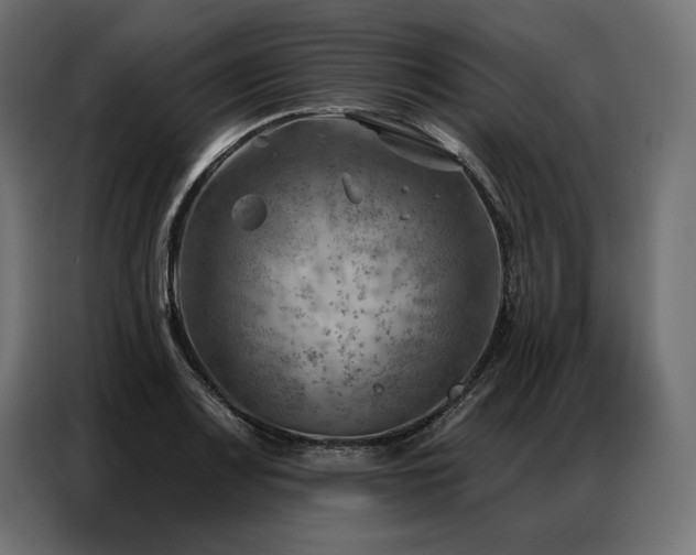 X0000086981083200704161444
