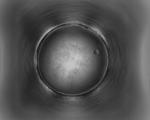 X0000086981084200704161444
