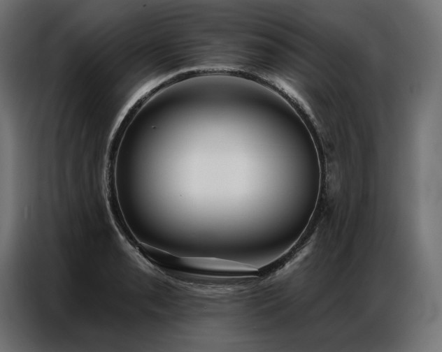 X0000086981085200704161444