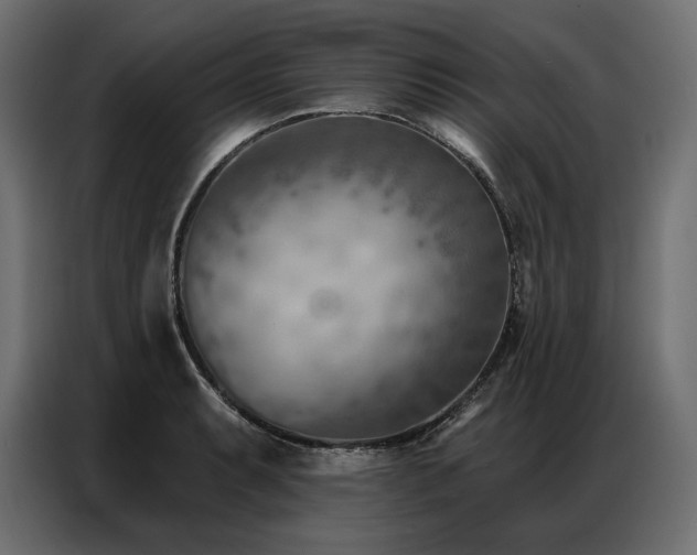 X0000086981087200704161444