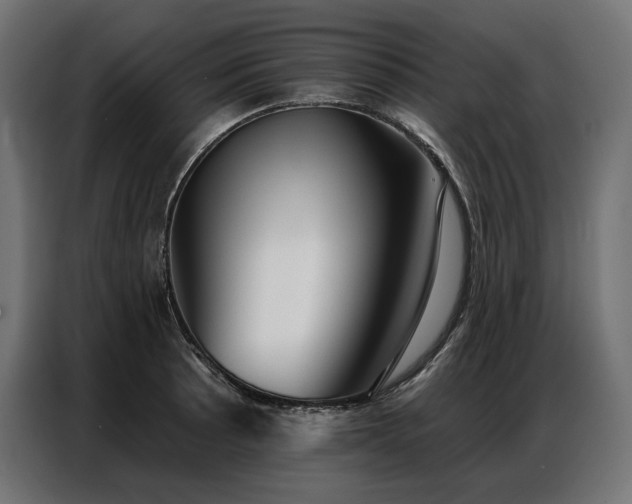 X0000086981089200704161444