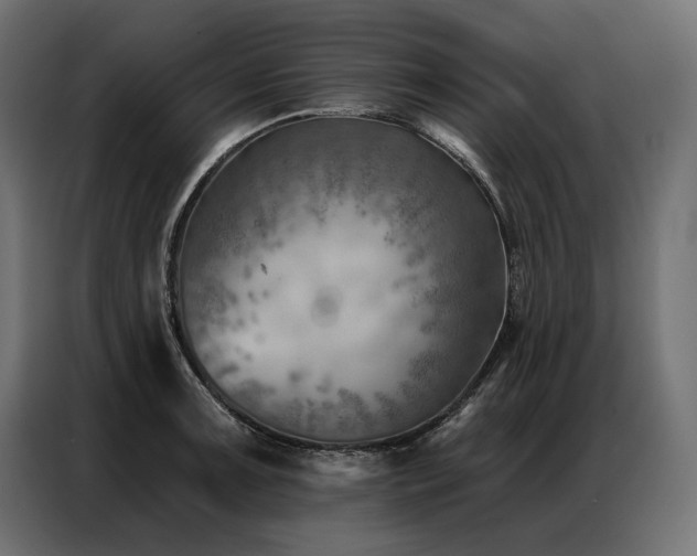 X0000086981091200704161444