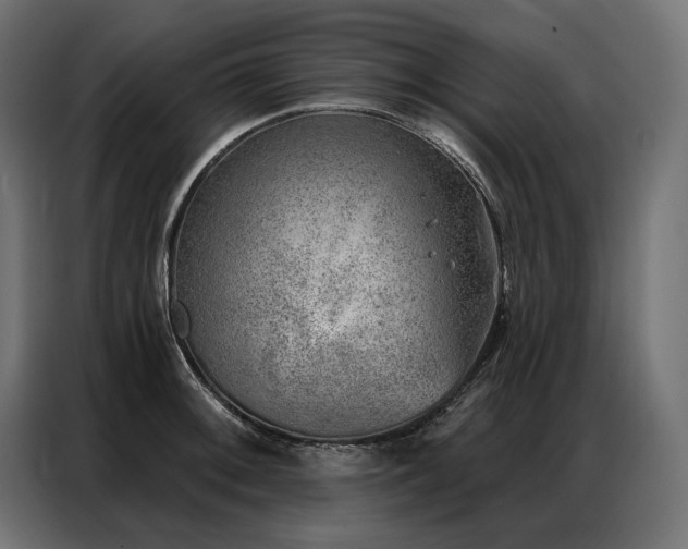 X0000086981092200704161444