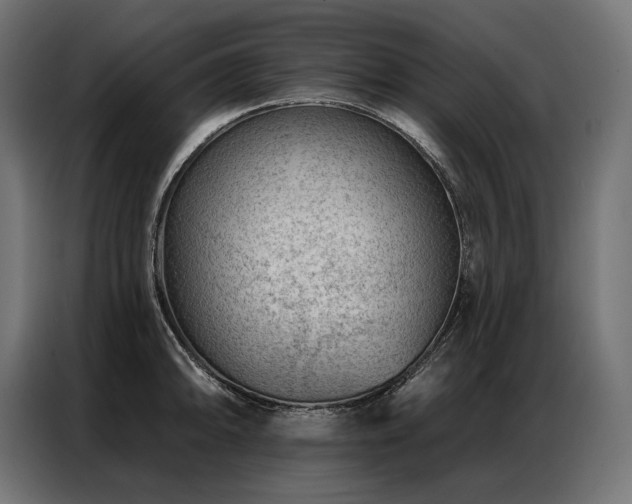 X0000086981094200704161444