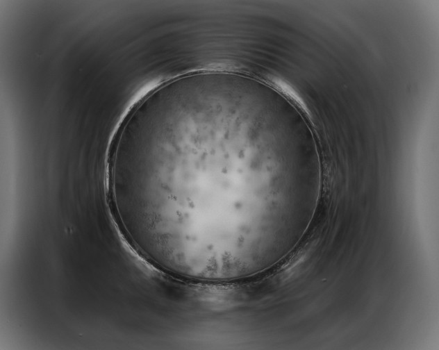 X0000086981095200704161444