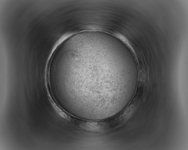 X0000086981098200704161444
