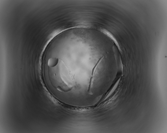 X0000086981099200704161444
