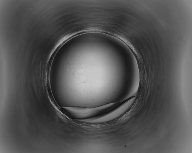 X0000086981101200704161444