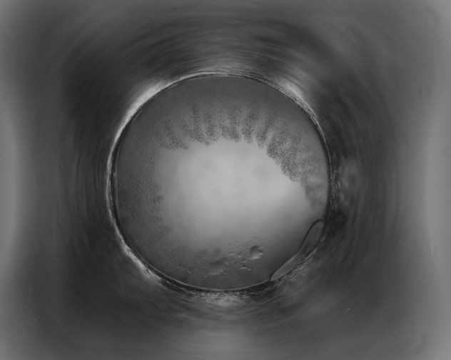X0000086981103200704161444