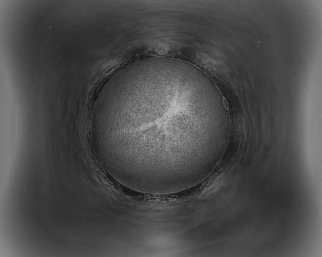 X0000086981105200704161443