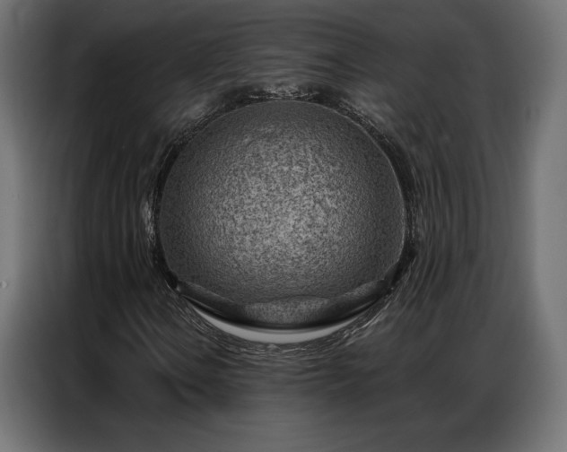 X0000086981106200704161443