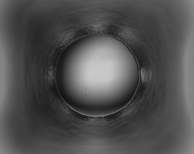 X0000086981107200704161443