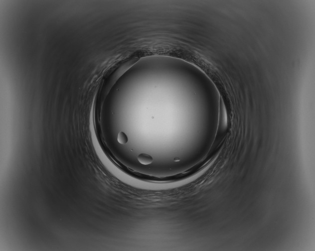 X0000086981108200704161443