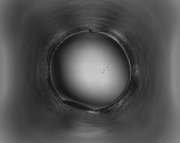 X0000086981111200704161443